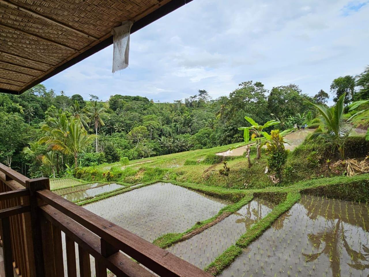 Вилла Umauthu Bali Табанан Экстерьер фото
